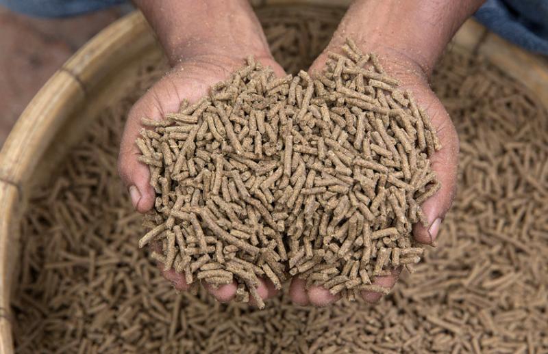 Fish feed in a local factory in Jessore, Bangladesh. Photo by Yousuf Tushar.