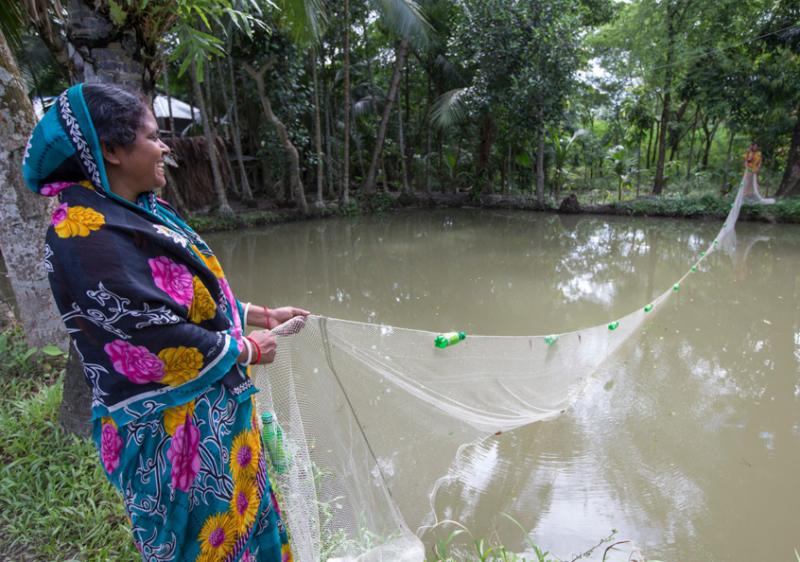 Women harvesting mola in Khulna, Bangladesh.