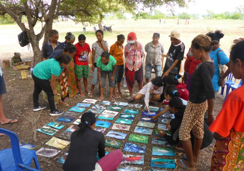 Women's focus group, Timor-Leste.