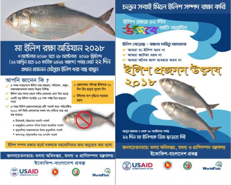 WorldFish developed a leaflet (left) and flyer (right) to raise awareness of the hilsa ban.