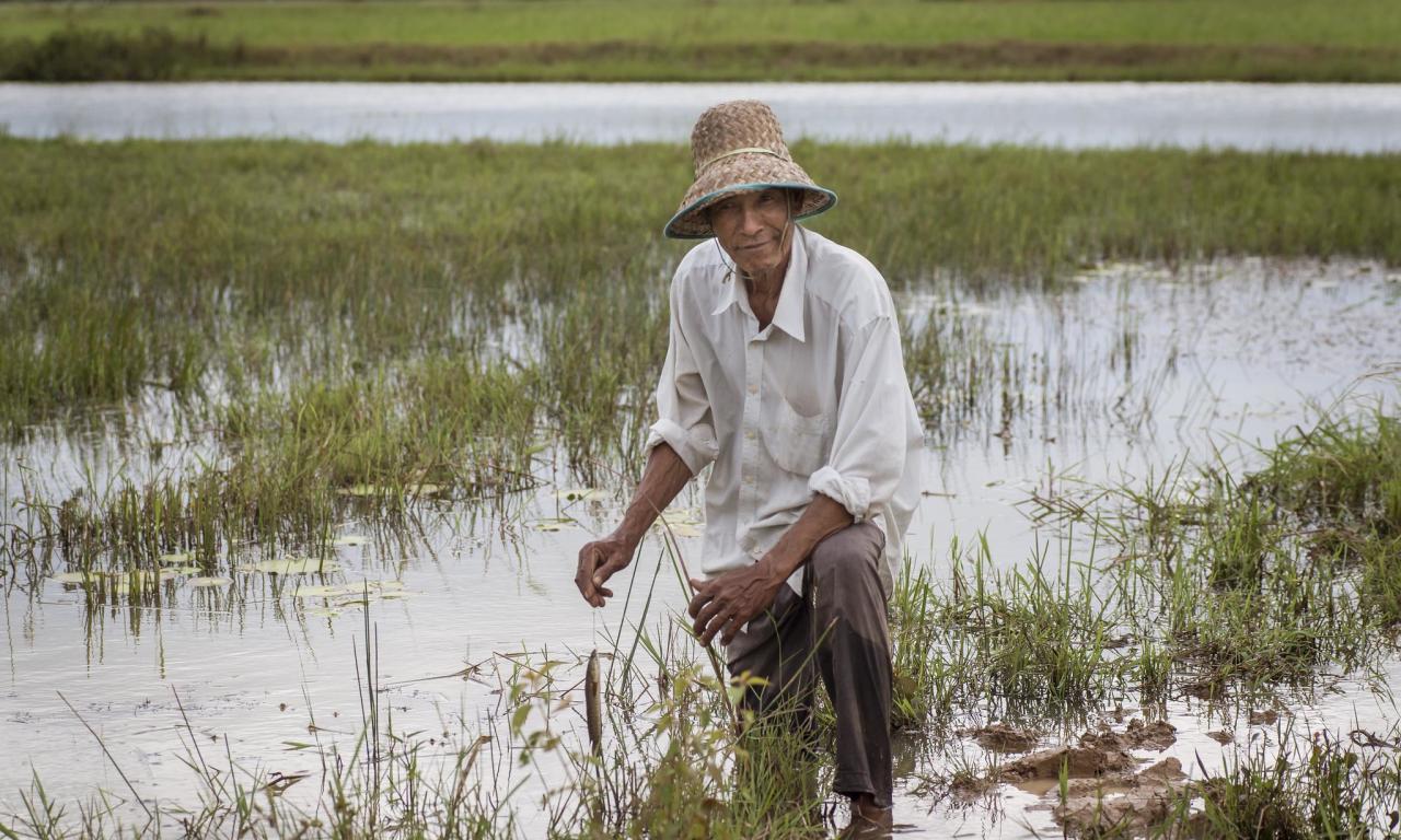 By investing in sustainable aquatic food production, it is possible to improve the quantity and quality of food available in low and middle-income countries. Photo by Fani Llauradó