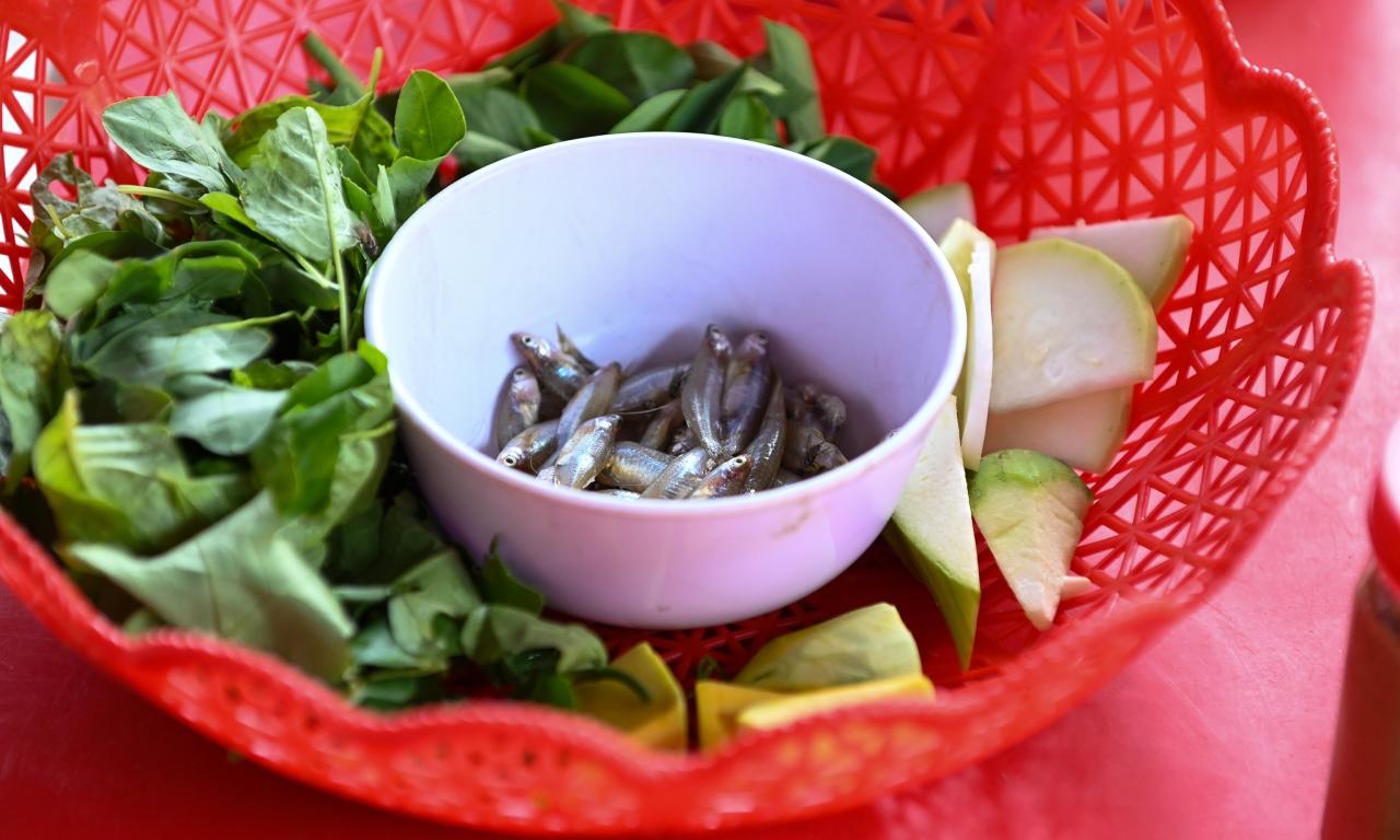 aquatic food