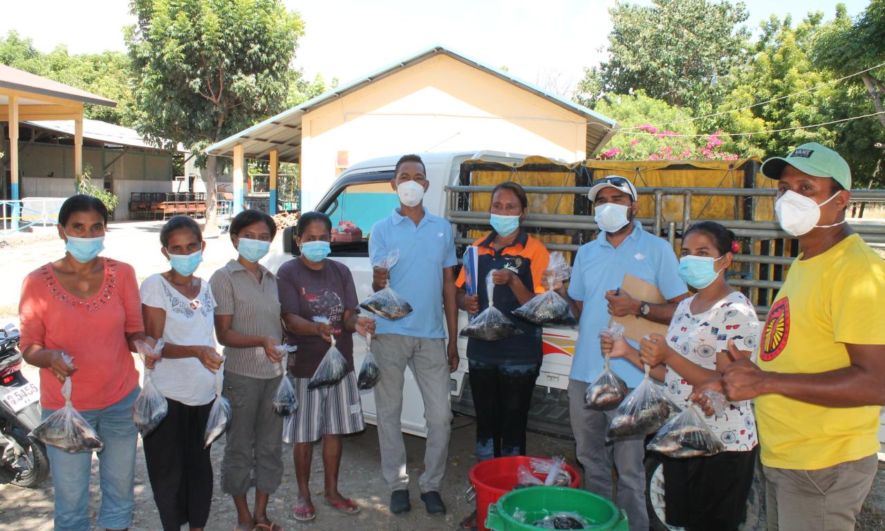 distributing tilapia