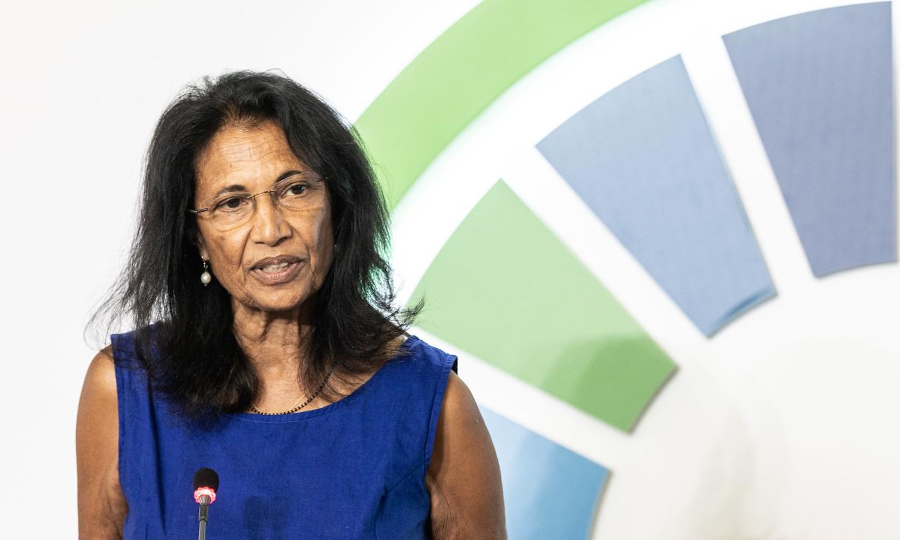 Shakuntala Thilsted presenting her speech on aquatic foods for health, wealth and ecological recovery at the UN Food Systems Pre-Summit event. Photo by Cristiano Minichiello/UN Photo.