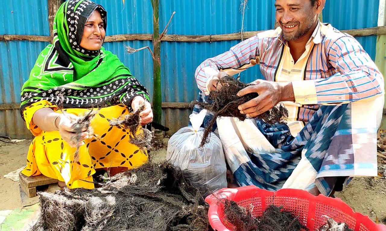 Husband and wife cleaning seaweed after drying at Nuniarchora, Cox Bazar, Bangladesh. Photo by M Arifur Rahman, ECOFISH II project, WorldFish Bangladesh