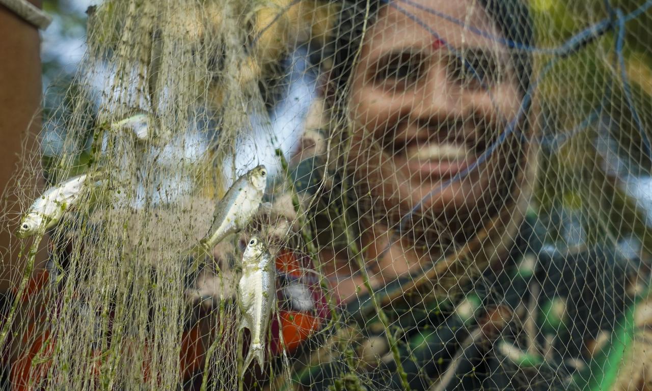 Fish Farmer Bangladesh