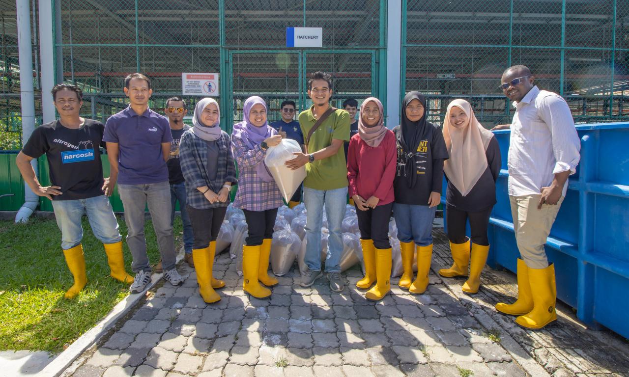 WorldFish provides 14,000 GIFT fry to the Jitra Aquaculture Extension Center 