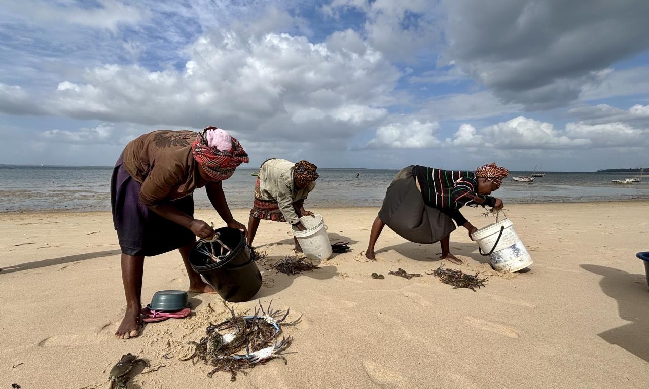 Sorting their harvest, women gleaners show their catch to traders—each selling individually, yet coming together to collectively negotiate prices because they know their power comes from their sisterhood. Photo by Sara Bonilla-Anariba, WorldFish