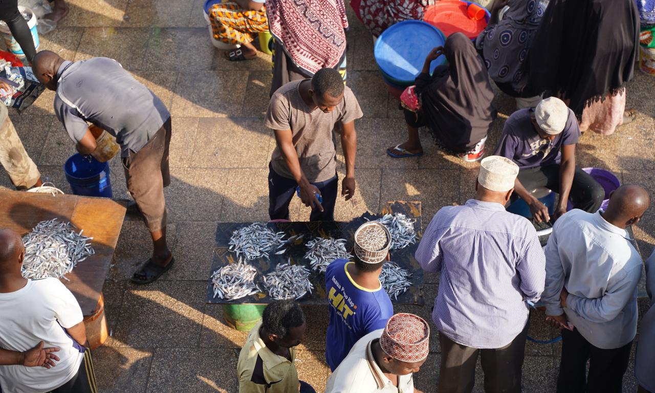 fish market in Zanzibar, Tanzania. Photo by Dilruba Sharmin, WorldFish
