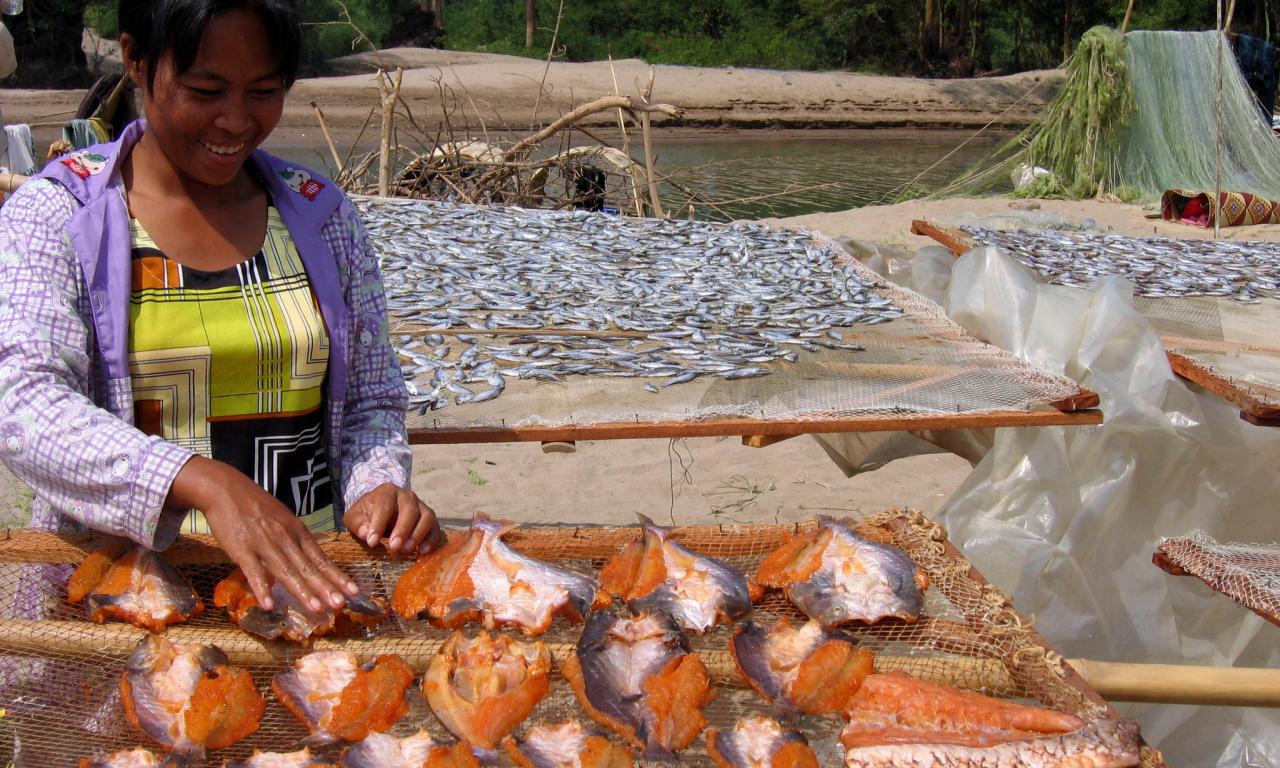 Aquatic food systems provide decent employment opportunities for youth. Photo by Edward H. Allison 