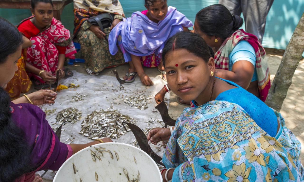 Women dry small fish in Bangladesh to extend their shelf life. Photo by Finn Thilsted.