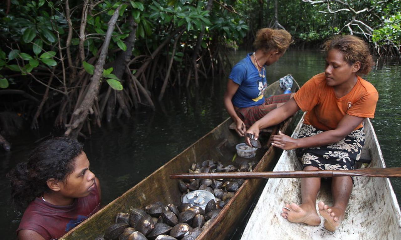 small-scale fisheries