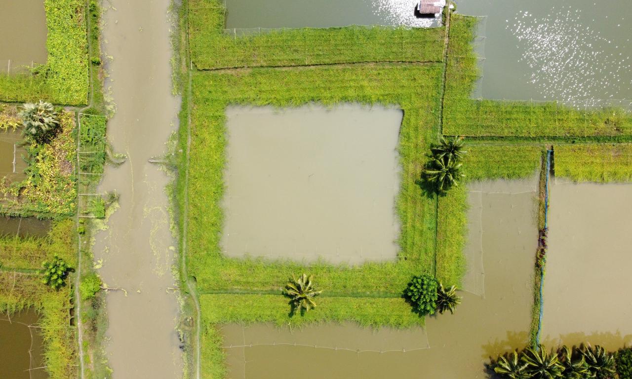 Aerial view of IAA 