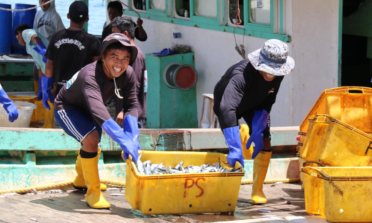 Fish landing at Pasar Besar Kota Kinabalu Photo: Sean Lee Kuan Shern