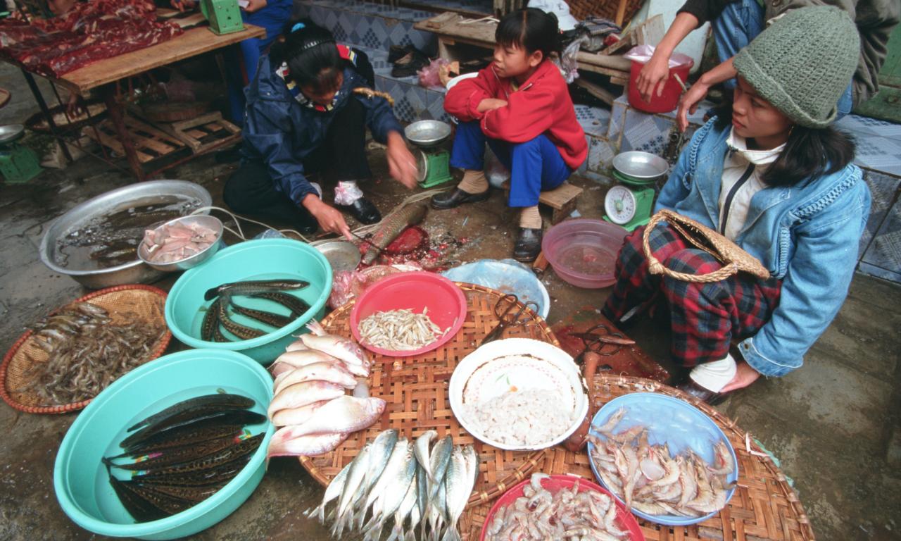 Fish market, Vietnam. Photo by Dominyk Lever, 2004