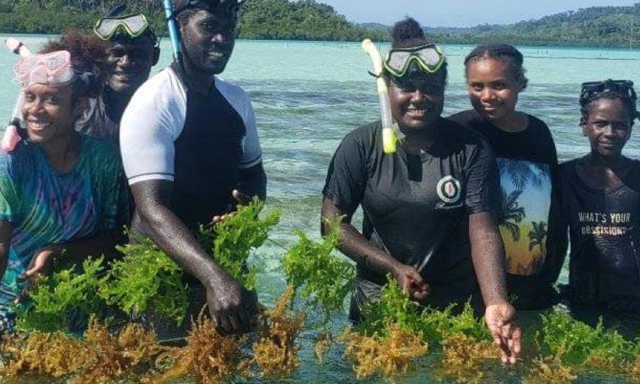seaweed farming interns, Nusatupe Research Station in the Western Province, solomon islands