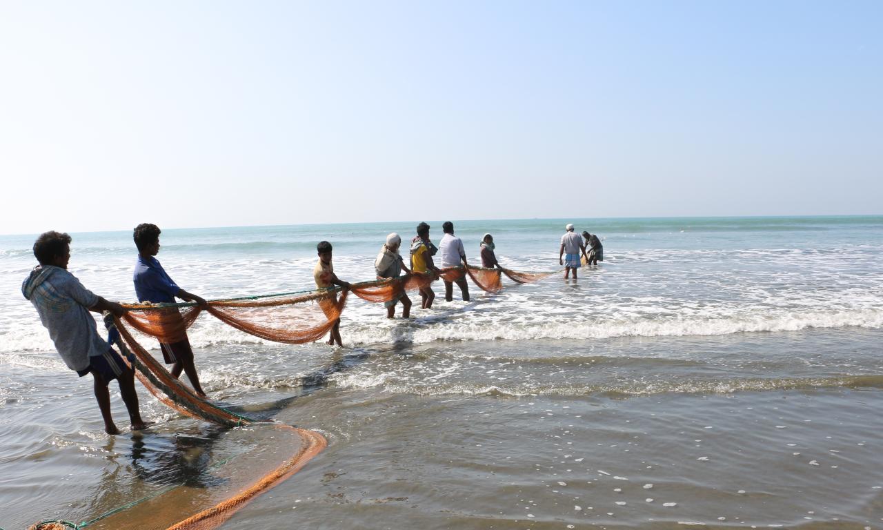 The ocean is an incredible source of aquatic foods. Photo by Md. Asaduzzaman.