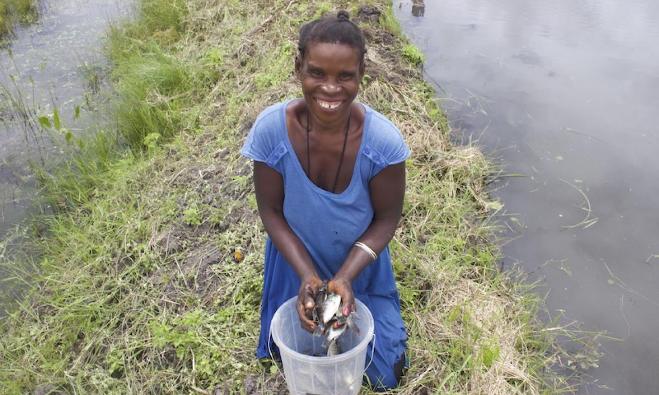 The polyculture of small and large fish species in the homestead ponds in Zambia would offer a direct source of food for household consumption rather than farming tilapia strictly for markets. Photo by Lulu Middleton.