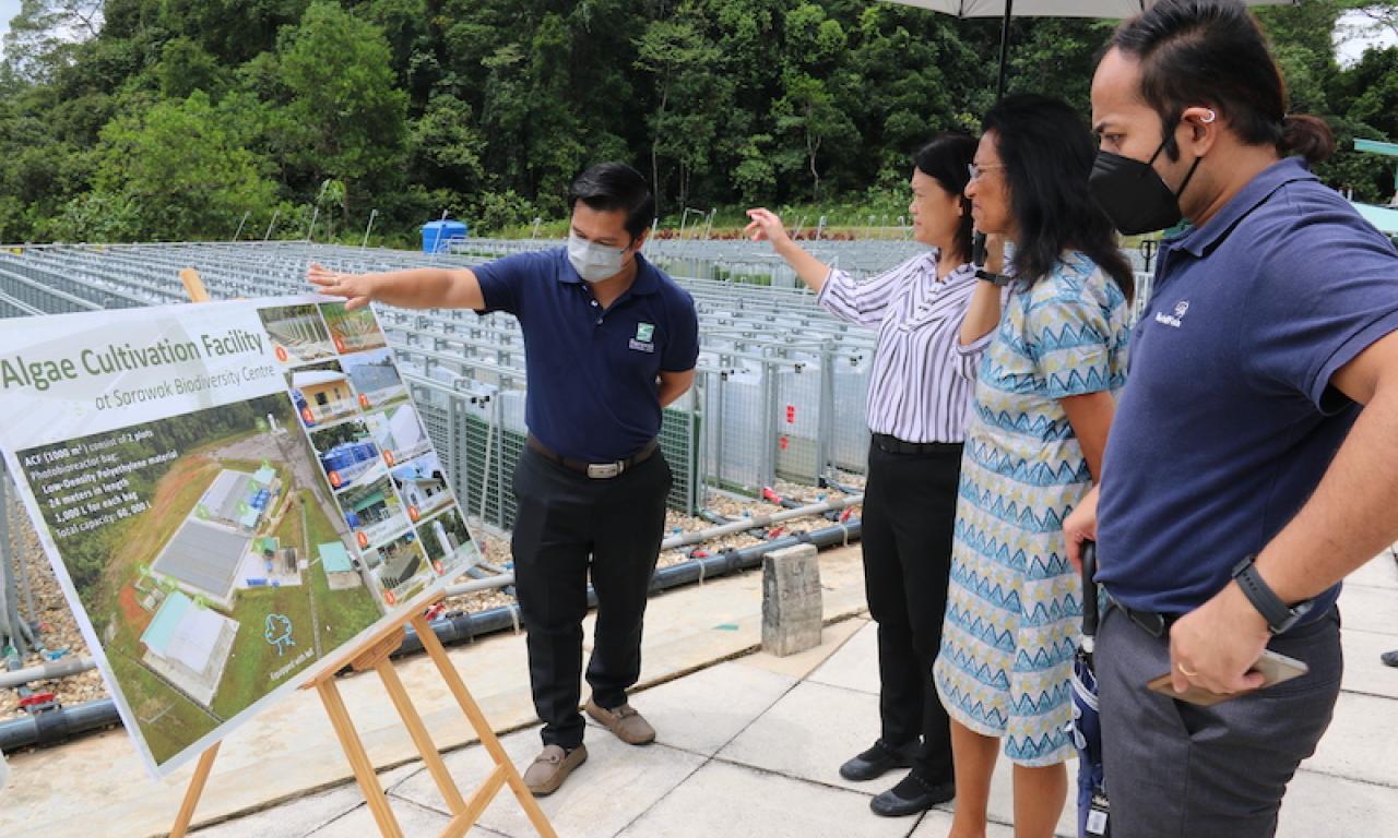 Sarawak Biodiversity Centre briefing Shakuntala Thilsted on their Algae Cultivation Facility. Photo by Sean Lee Kuan Shern