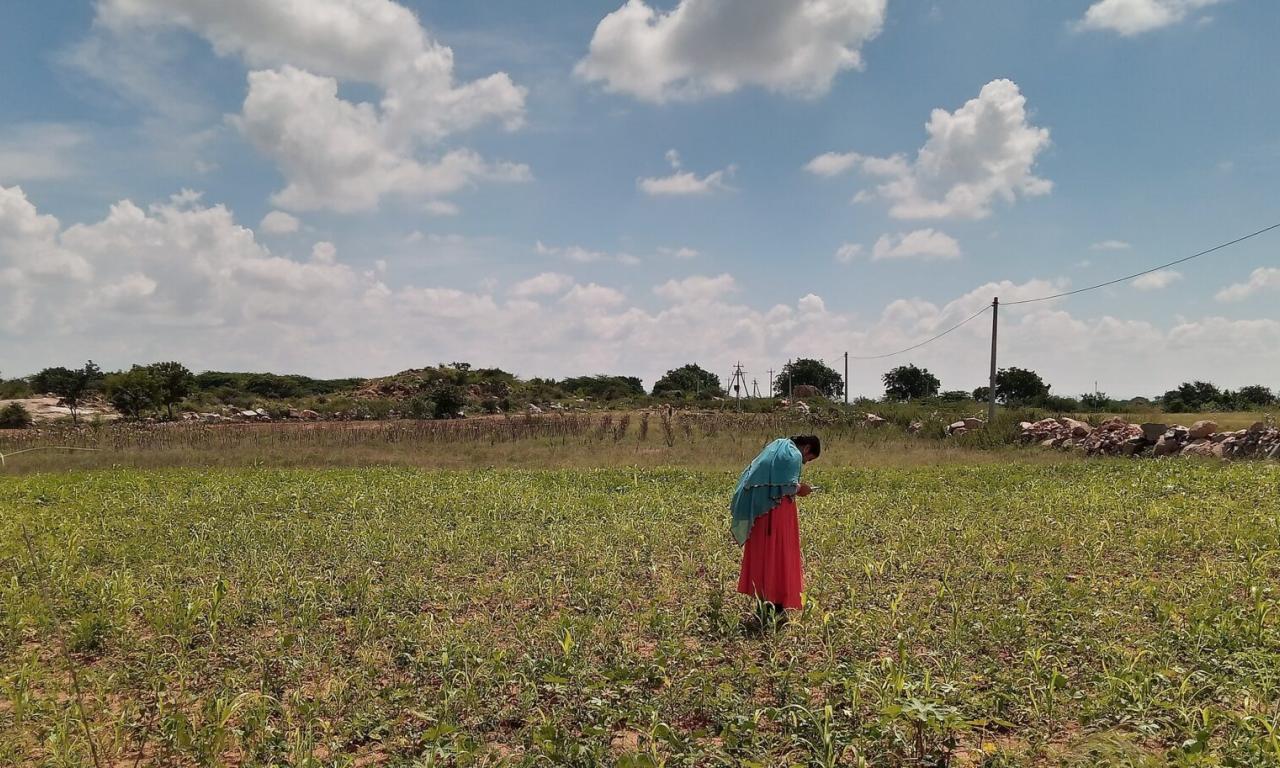 Understanding and influencing agency and behavior change in agroecological transformation processes. Photo by CGIAR.