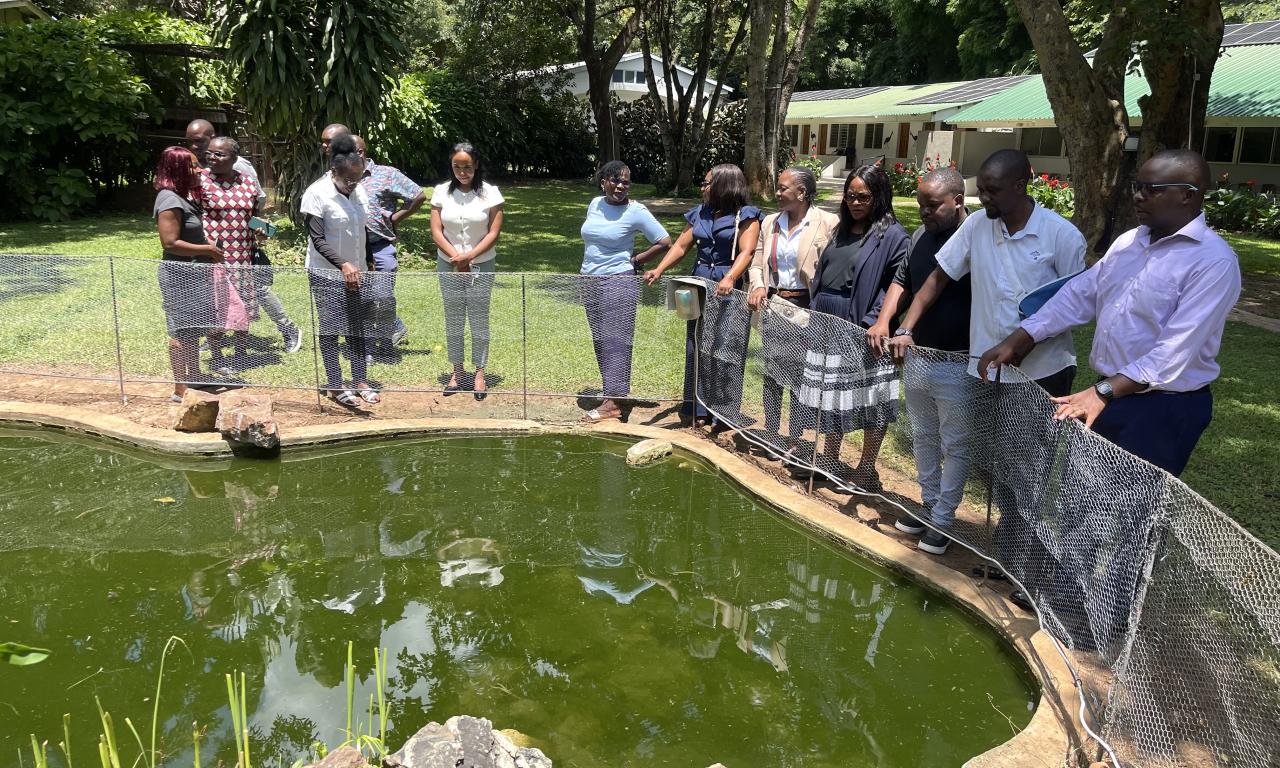 Participants at the Training of Trainers workshop in Zambia discuss how inclusion, decision-making and household dynamics influence productivity in small-scale aquaculture systems. Photo: Gregory Kasanga/WorldFish.