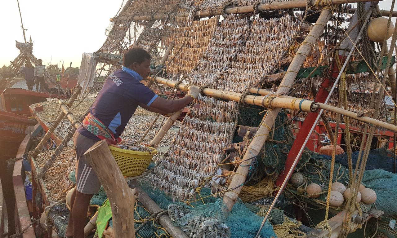 Limited options to process aquatic foods can result in decrease in their quantity and quality. Photo by Lydia O'Meara and Baishnaba Ratha
