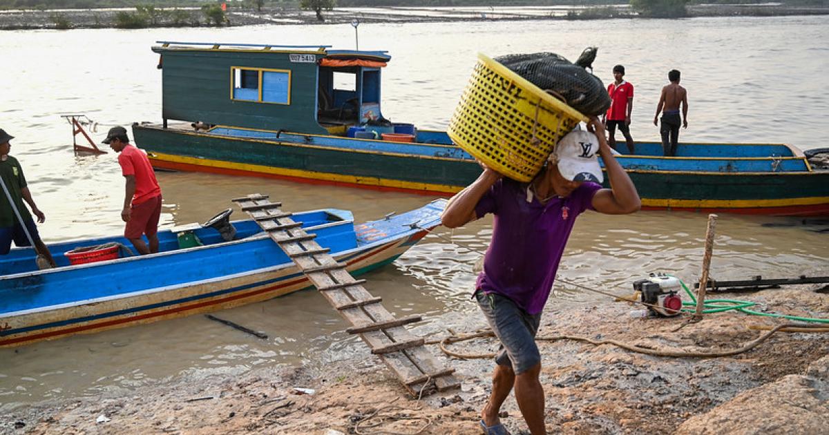 Fishing Can Be Profitable for Emerging Economies, but WorldFish