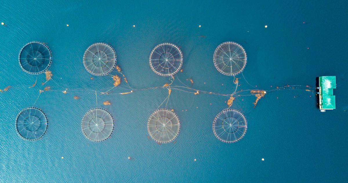 Innovations | WorldFish