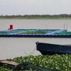 Water hyacinth menace at Orisha Farms, operated by Chukwuma Daniel, in Badagry, Lagos State, Nigeria