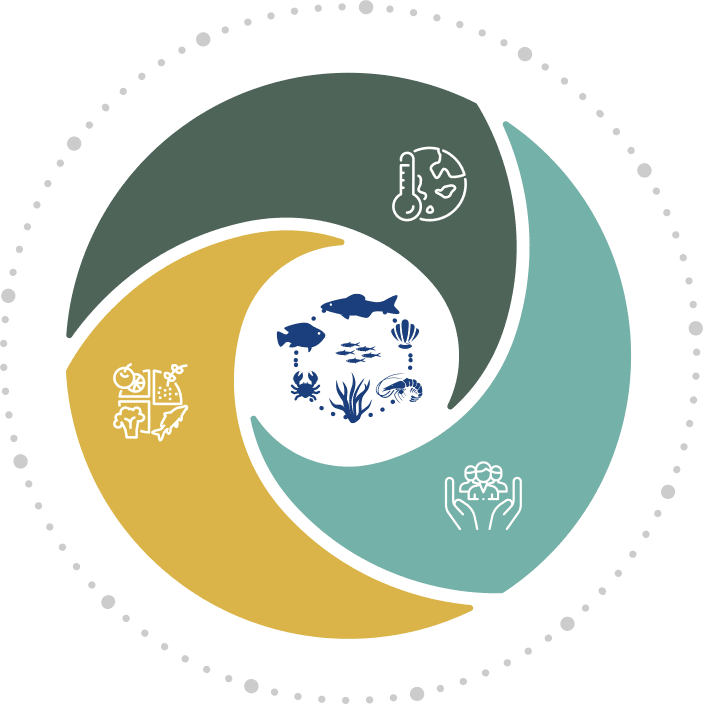 Figure 4. Key facts and figures on aquatic food systems.